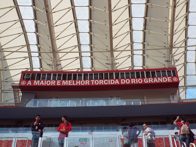 仅会导致皮 仅会导致皮