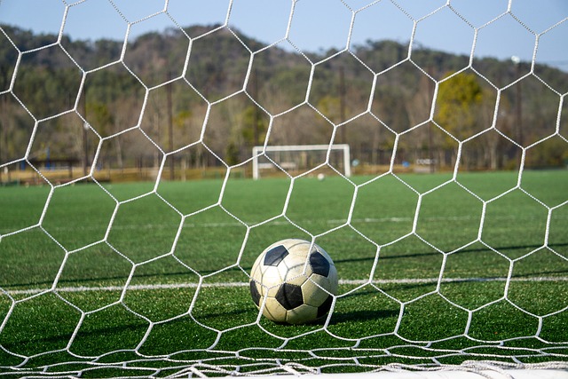 我们能够看 我们能够看