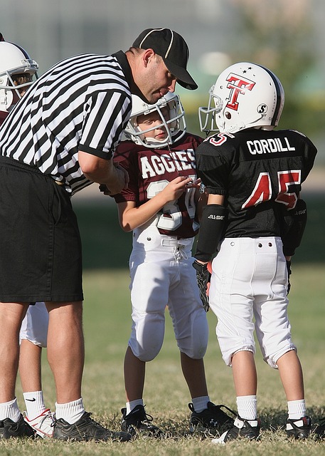 仅填补了球 仅填补了球